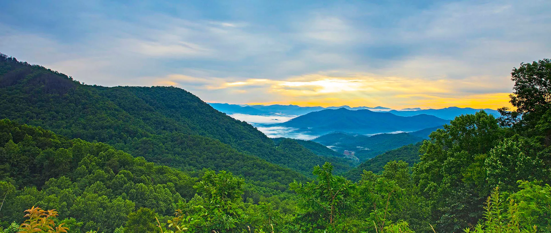 north carolina cove psychological assessments